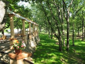 Parc de la Grotte de Saint Cézaire