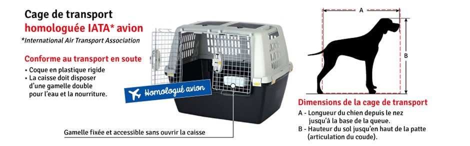 Cage de transport chien norme IATA avion