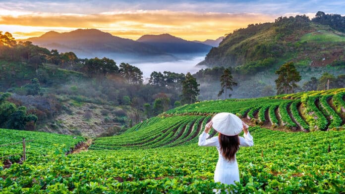 Les plus beaux voyages à faire en Asie du Sud-Est